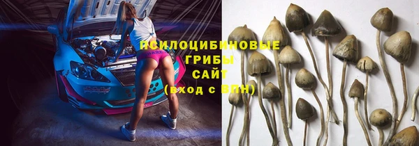 мдпв Березники
