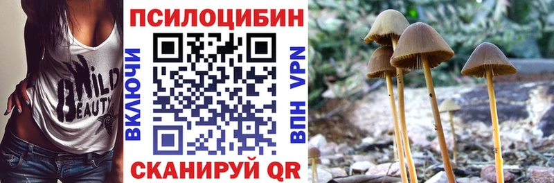 Галлюциногенные грибы Magic Shrooms  дарнет шоп  Емва 
